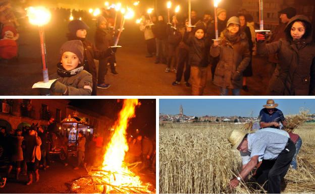 Los fieles, en su mayoría niños, portando antorchas durante la procesión de la Virgen de los Pegotes. Debajo, la imagen desfilando en su carroza entre las hoguerasy recreación de la siega tradicional.