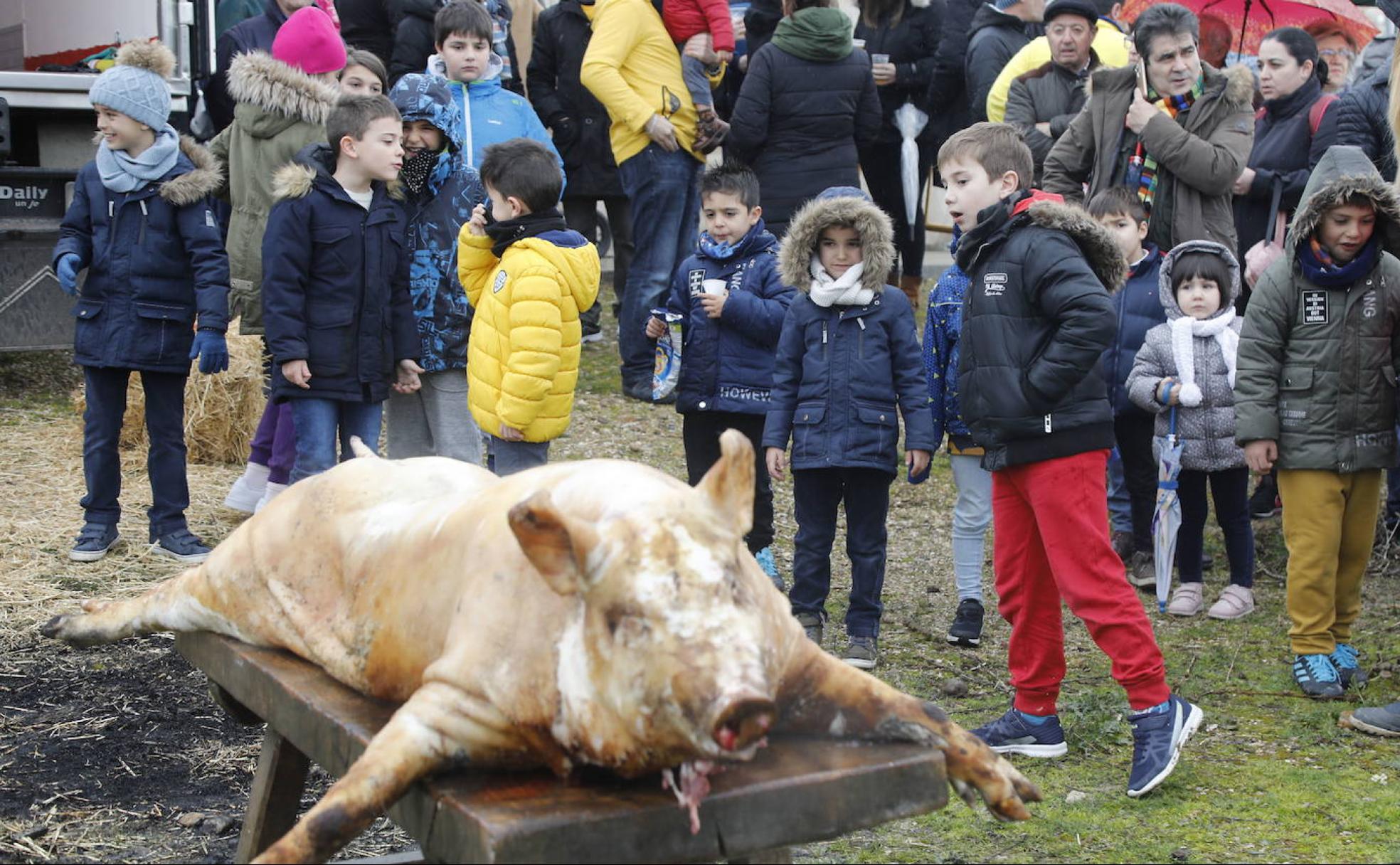 Los más pequeños observan al cerdo durante la Fiesta de la Matanza.