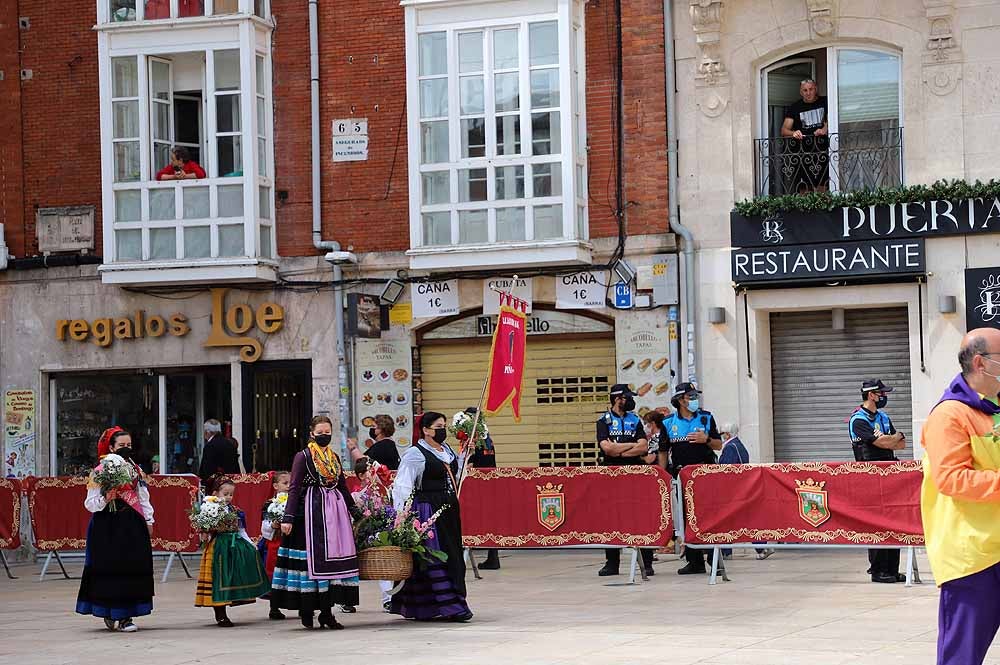 Fotos: La ofrenda floral a Santa María la Mayor en Burgos ha vuelto a la calle