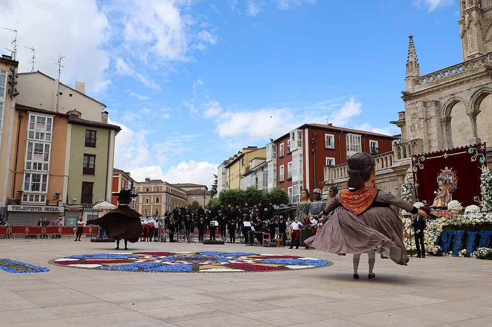 Fotos: La ofrenda floral a Santa María la Mayor en Burgos ha vuelto a la calle