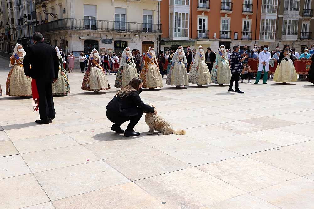 Fotos: La ofrenda floral a Santa María la Mayor en Burgos ha vuelto a la calle