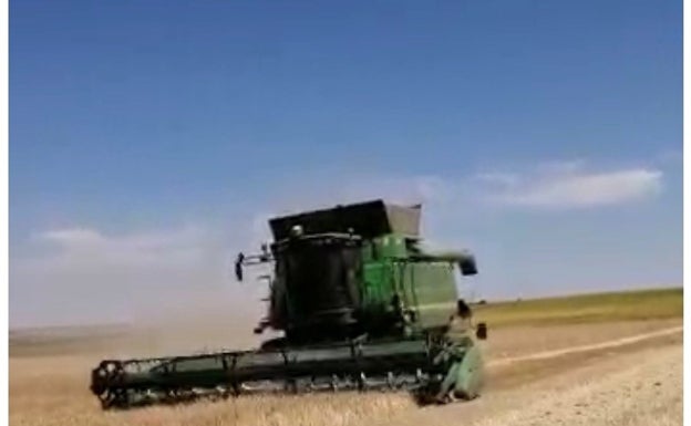 Una cosechadora en el término municipal de Sieteiglesias de Trabancos, Valladolid.