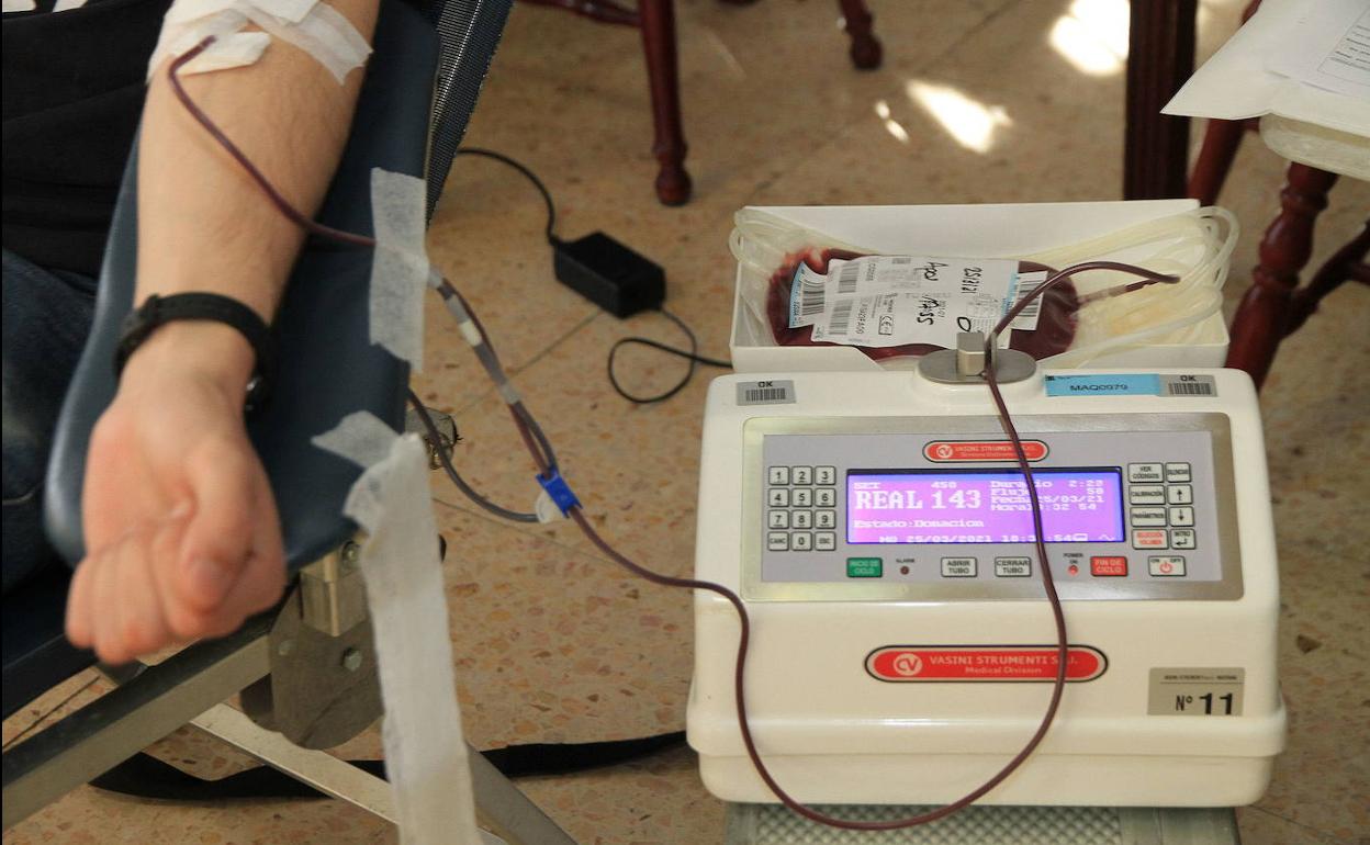 Donación de sangre en Segovia. 