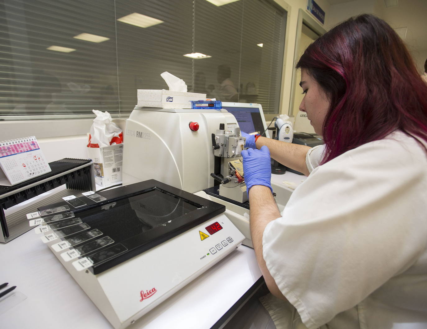 Prácticas en laboratorio en el Hospital Clínico de Valladolid. 