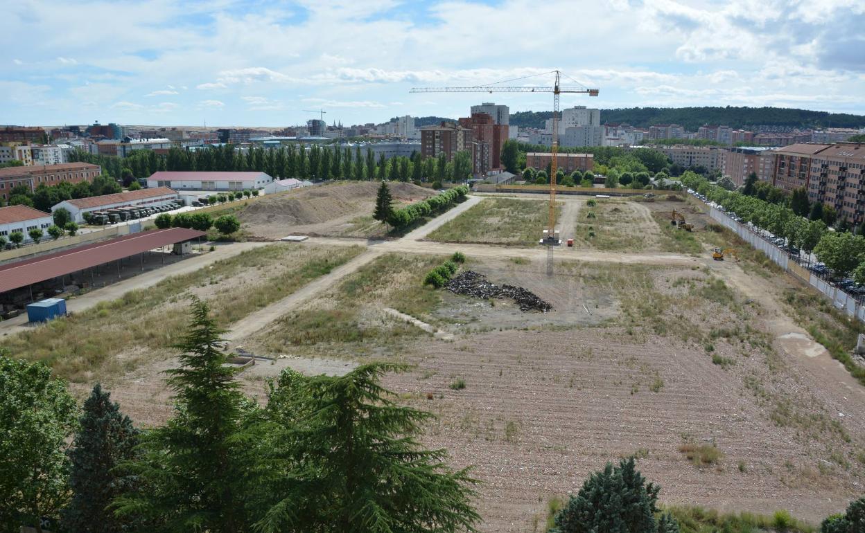 Ya se ha instalado la primera de las grúas pluma que trabajará en el solar. 