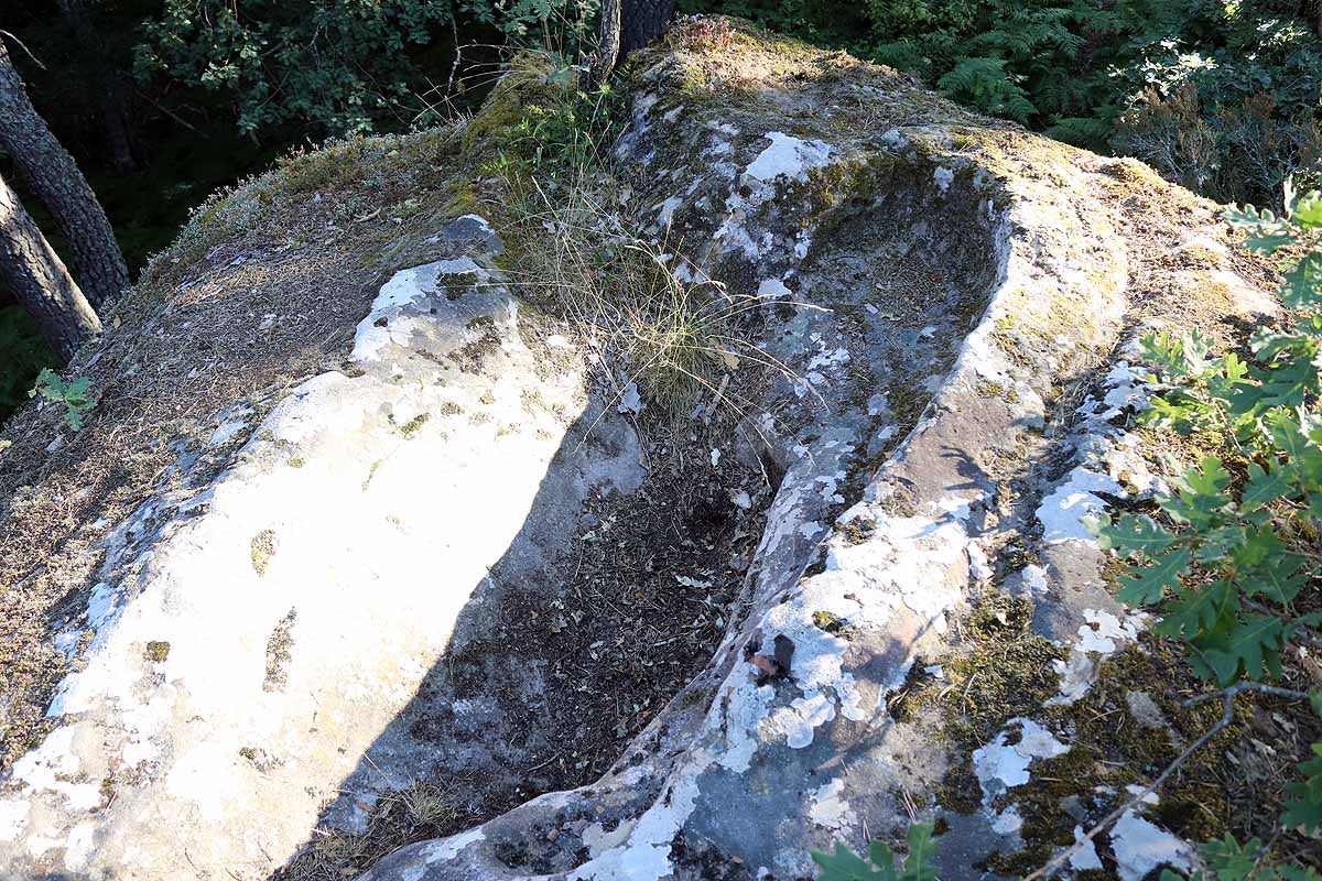 Fotos: Protección para el vestigio de la vida solitaria de Quintanar de la Sierra