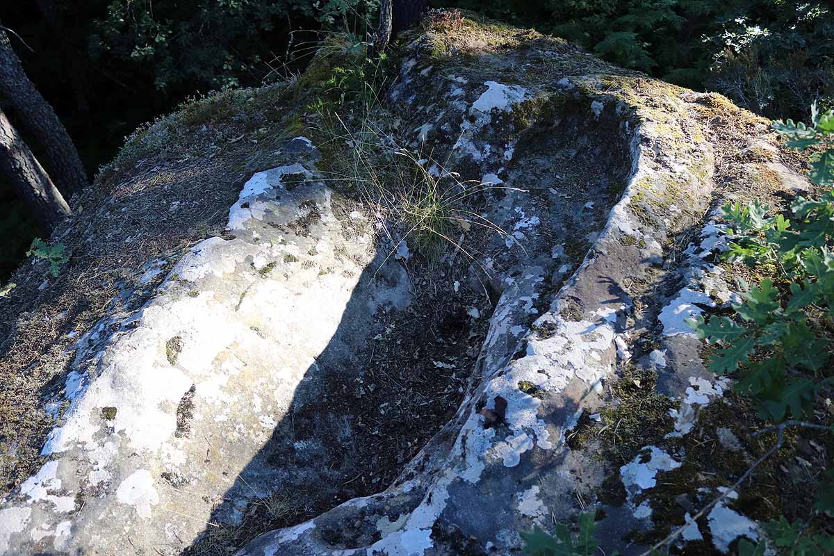 Fotos: Protección para el vestigio de la vida solitaria de Quintanar de la Sierra