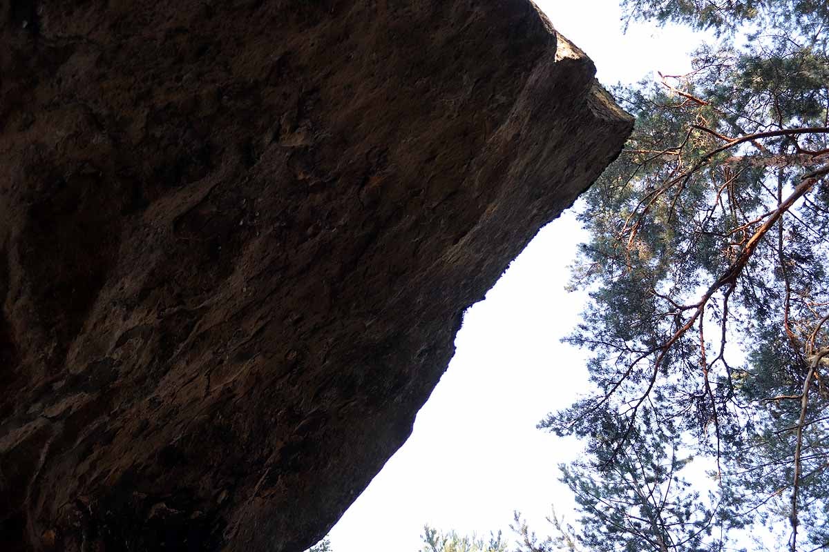 Fotos: Protección para el vestigio de la vida solitaria de Quintanar de la Sierra