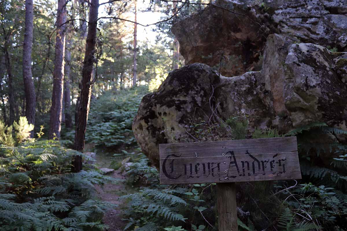 Fotos: Protección para el vestigio de la vida solitaria de Quintanar de la Sierra