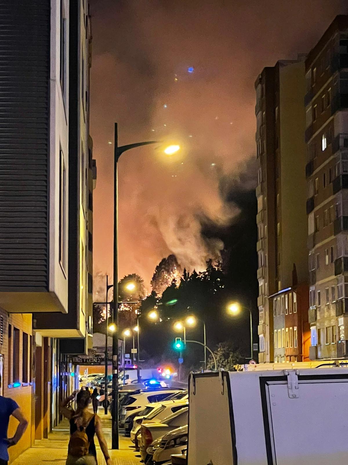 Fotos: Un incendio intencionado devora los aledaños del Castillo de Burgos