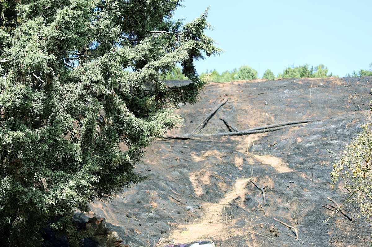 Fotos: Las consecuencias del fuego en el entorno del Castillo de Burgos