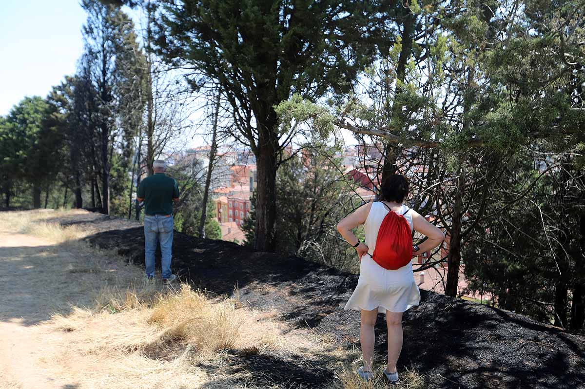 Fotos: Las consecuencias del fuego en el entorno del Castillo de Burgos