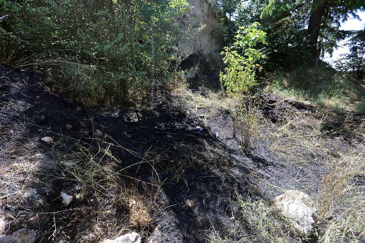 Fotos: Las consecuencias del fuego en el entorno del Castillo de Burgos