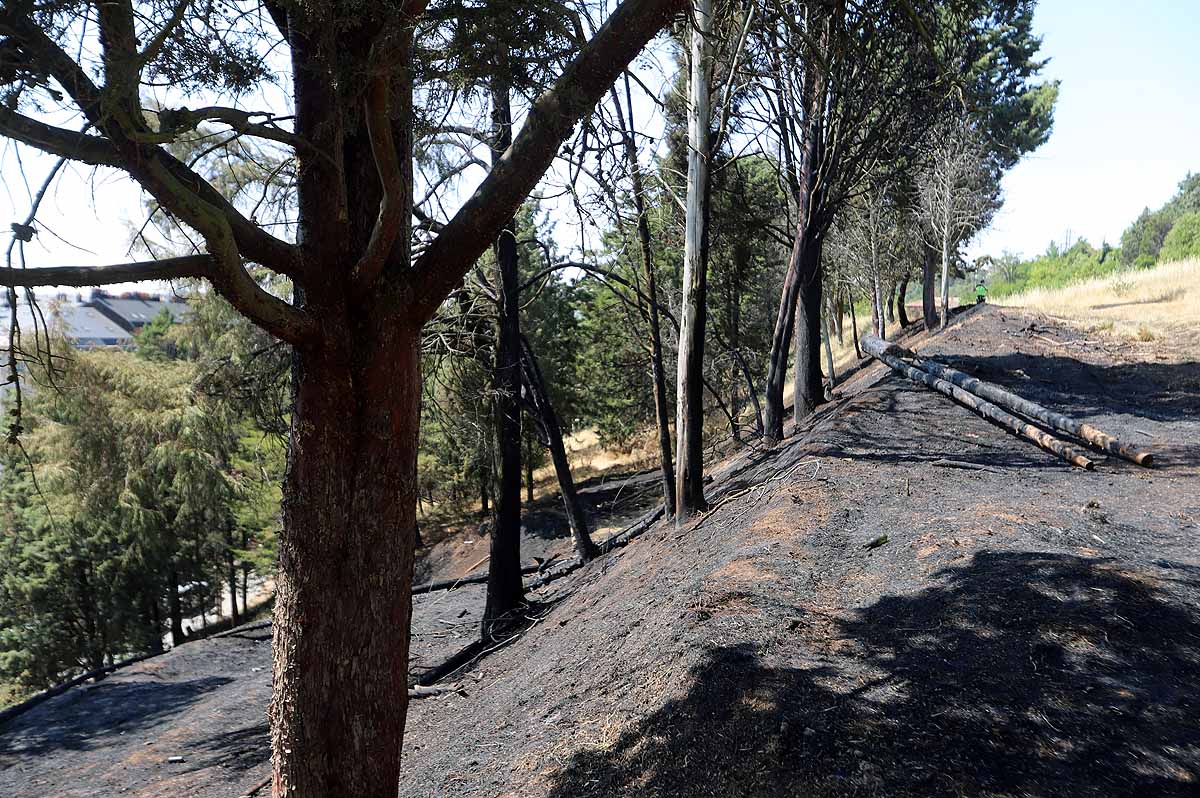 Fotos: Las consecuencias del fuego en el entorno del Castillo de Burgos