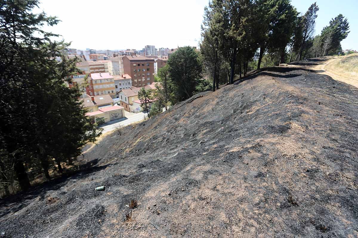 Fotos: Las consecuencias del fuego en el entorno del Castillo de Burgos