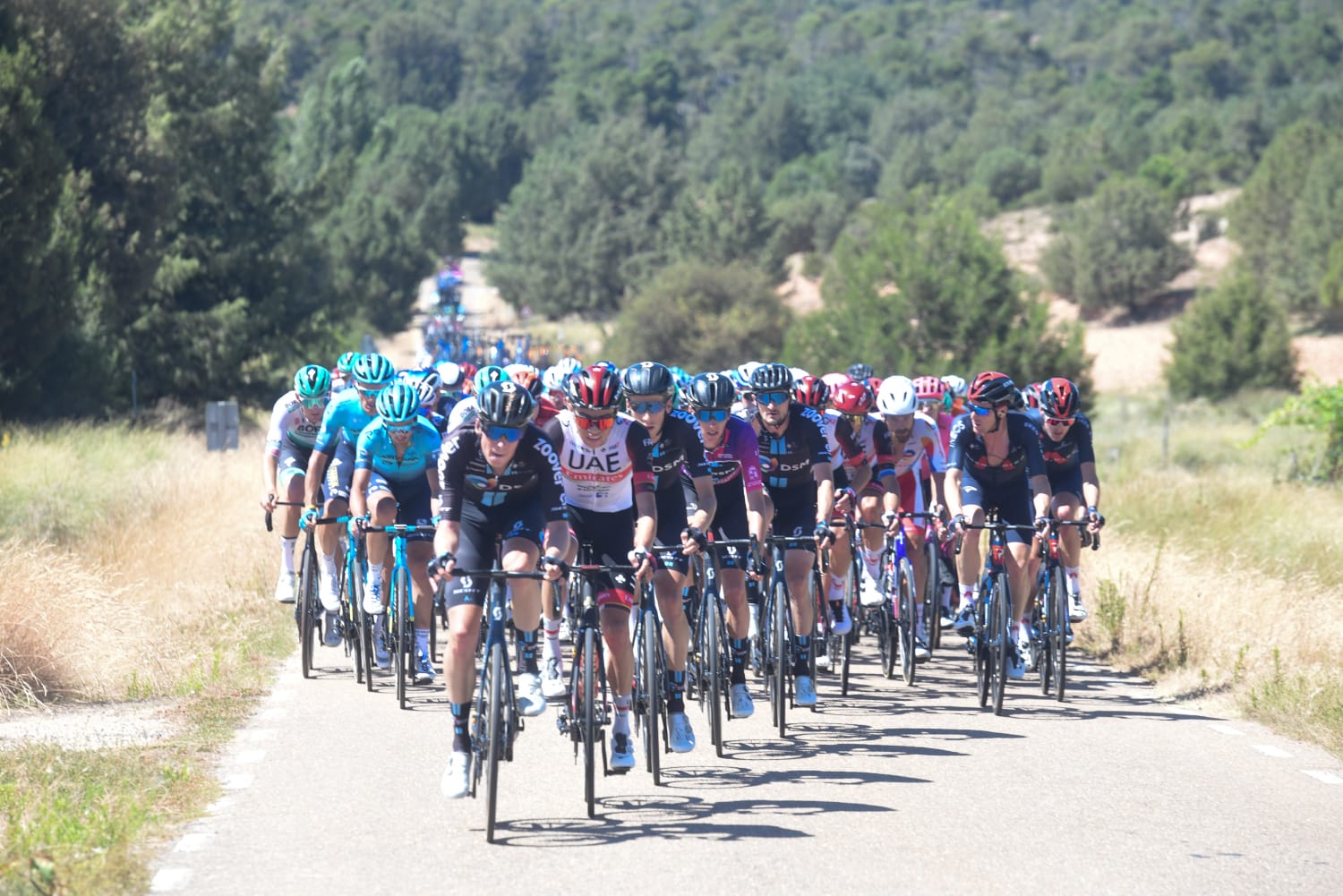 Fotos: Cuarta etapa de la Vuelta Ciclista a Burgos