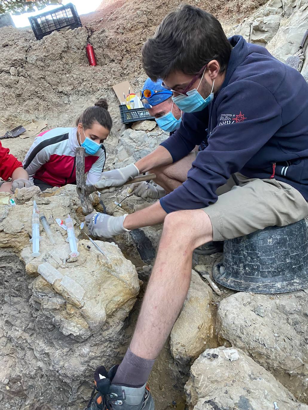 Fotos: Finaliza la V campaña paleontológica en Torrelara con el hallazgo de restos anatómicos únicos hasta ahora