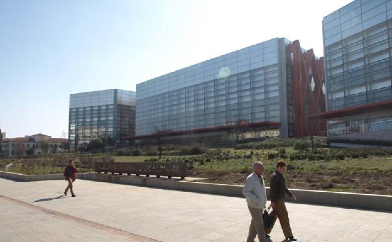 Museo de la Evolución Humana. 