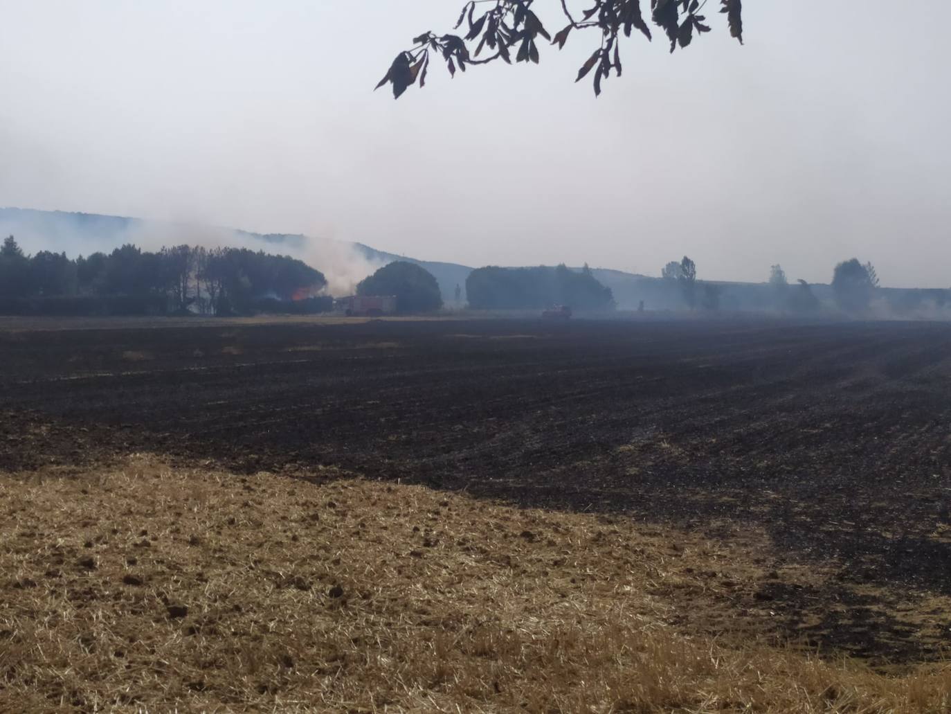 Fotos: Incendio en San Millán de Juarros