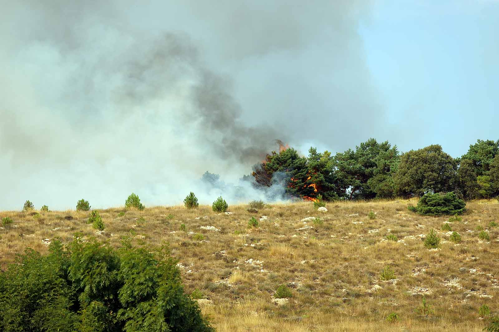 Un gran operativo trabaja desde primera hora de la tarde en incendio declarado en Masa.