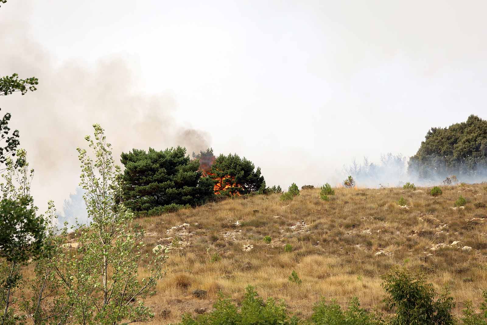 Un gran operativo trabaja desde primera hora de la tarde en incendio declarado en Masa.