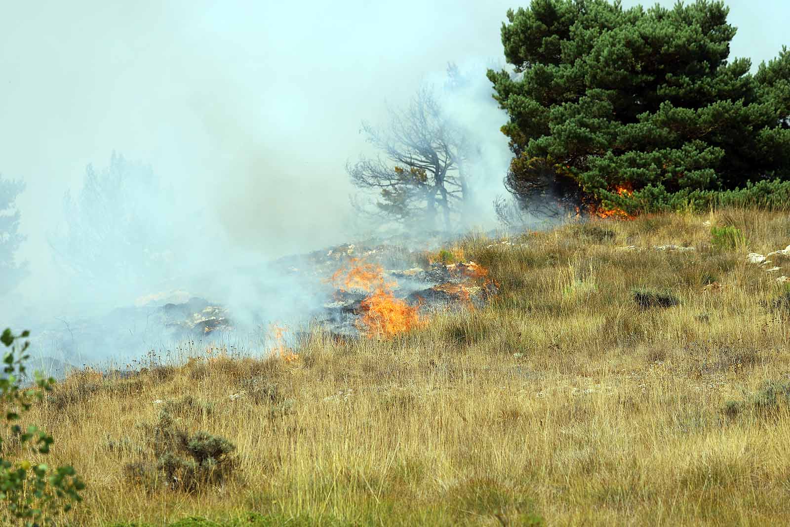 Un gran operativo trabaja desde primera hora de la tarde en incendio declarado en Masa.