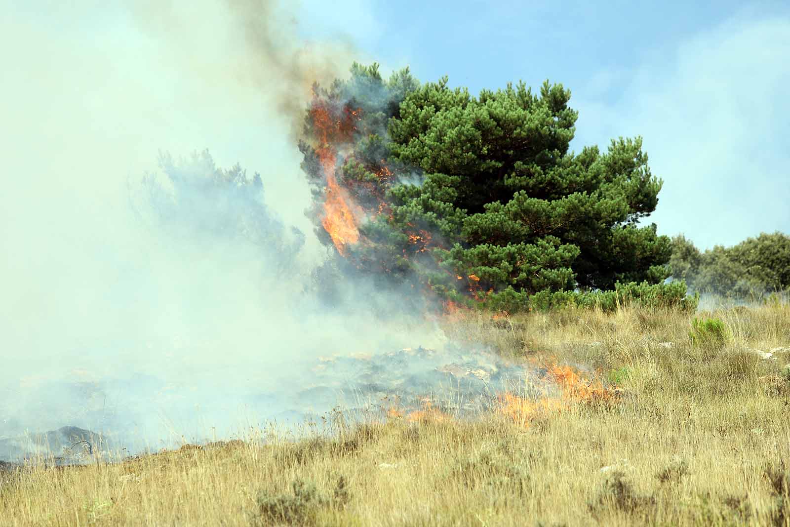 Un gran operativo trabaja desde primera hora de la tarde en incendio declarado en Masa.