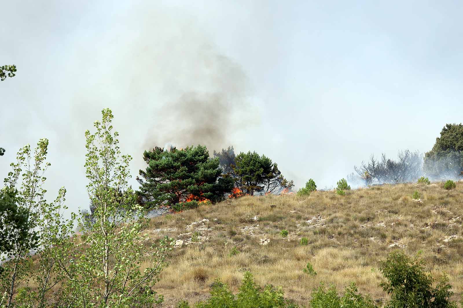 Un gran operativo trabaja desde primera hora de la tarde en incendio declarado en Masa.