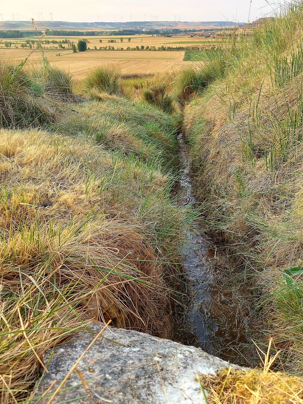 Fotos: Palazuelos de Muñó recupera sus fuentes naturales y pozos tradicionales