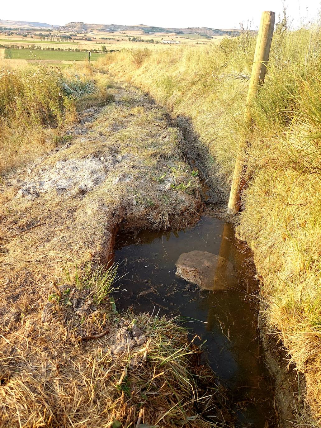 Fotos: Palazuelos de Muñó recupera sus fuentes naturales y pozos tradicionales