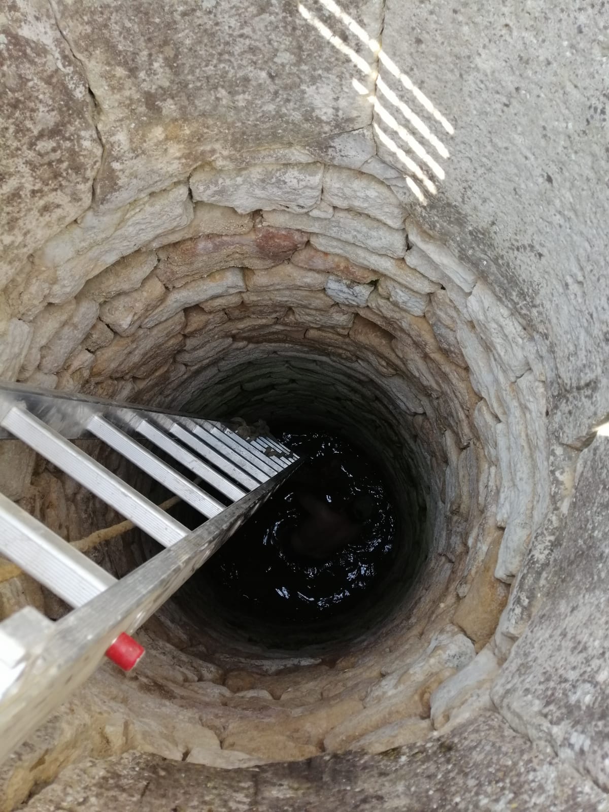 Fotos: Palazuelos de Muñó recupera sus fuentes naturales y pozos tradicionales