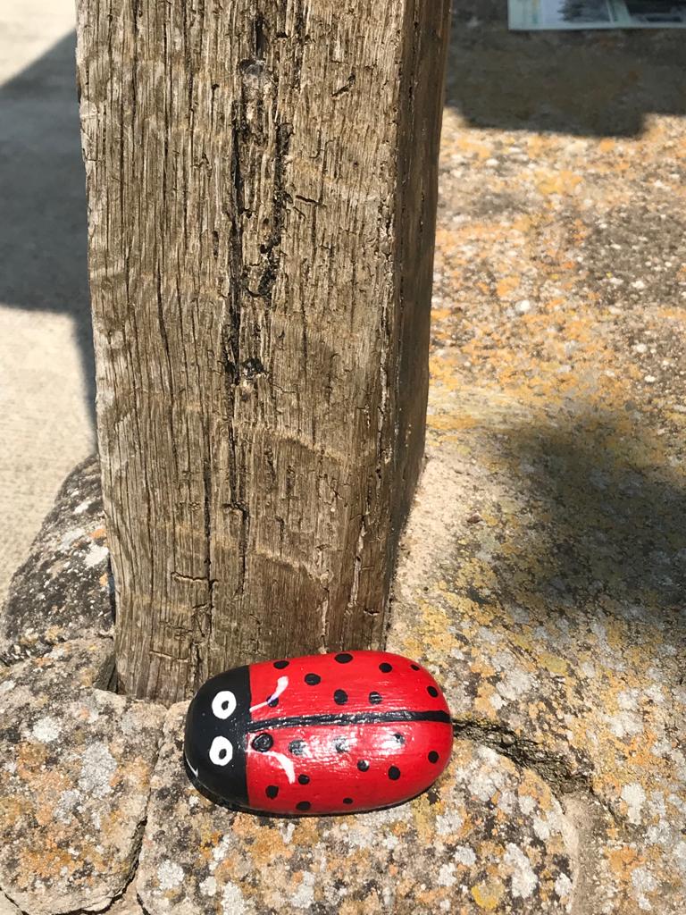 Fotos: &#039;PetreArte&#039;, pintura sobre piedras en Palazuelos de Muñó