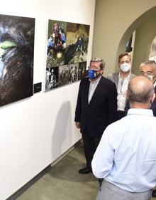 Imagen secundaria 2 - Exposición del Grupo Espeleológico Edelweiss en el Consulado del Mar. 