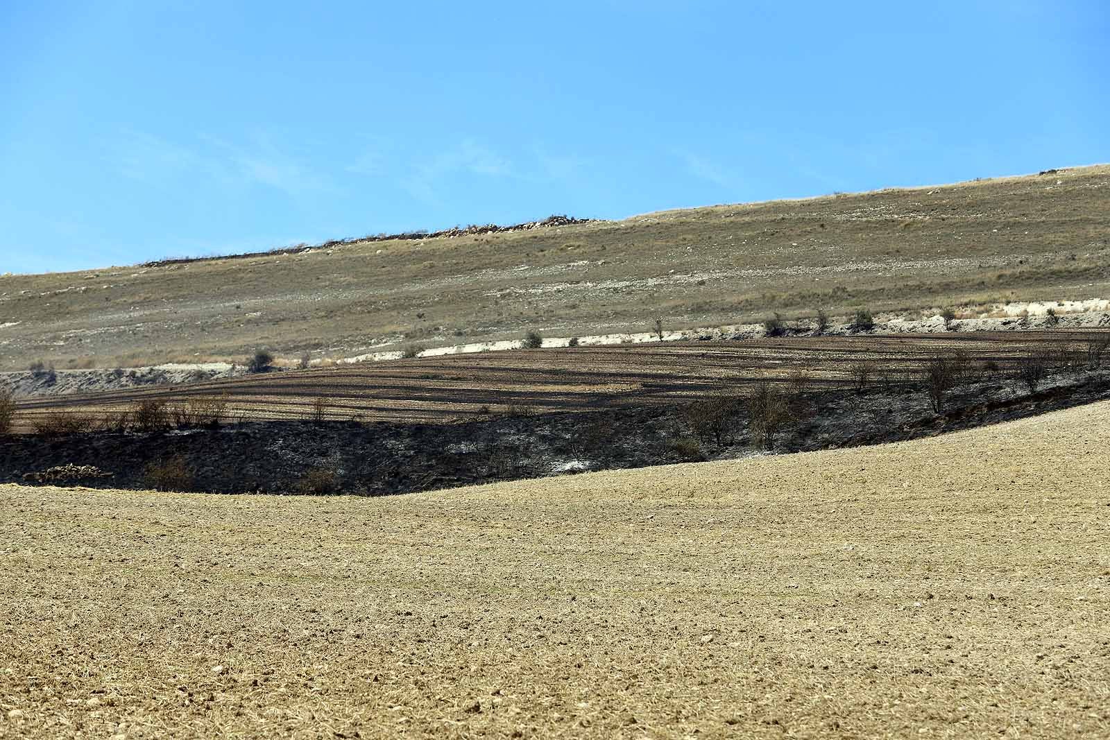 Fotos: Incendio en el parque eólico de Valle de Santibáñez