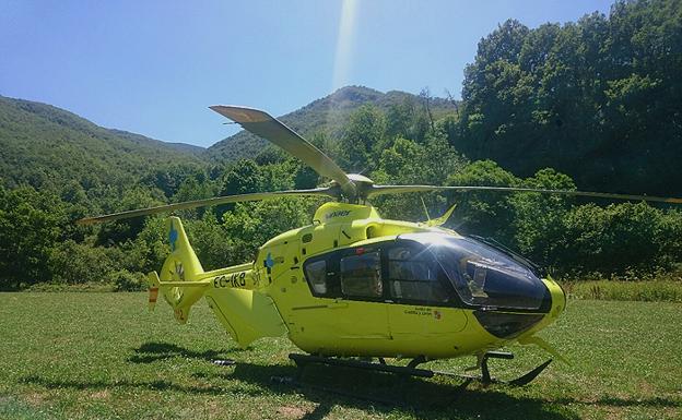 Evacuado en helicóptero un hombre tras ser picado por varias avispas en Briviesca