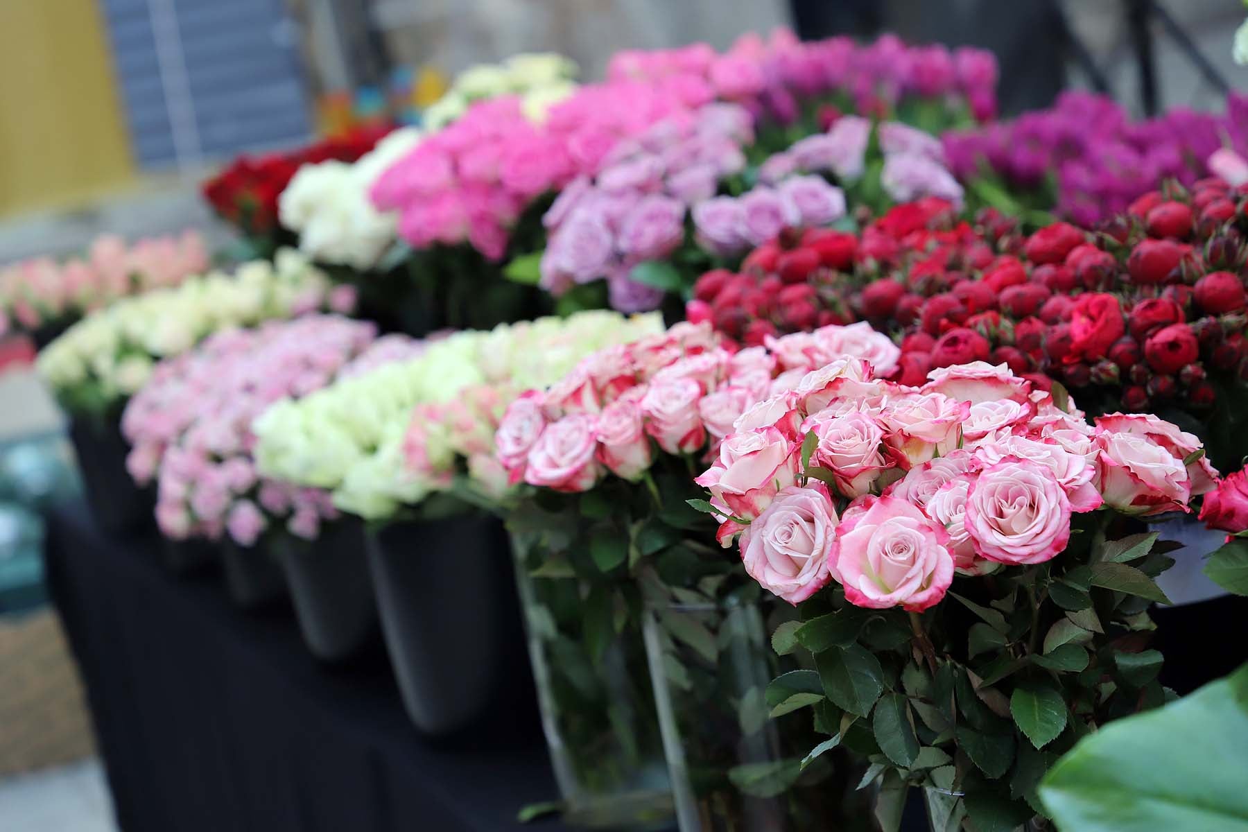 Fotos: En busca del mejor artesano florista de España