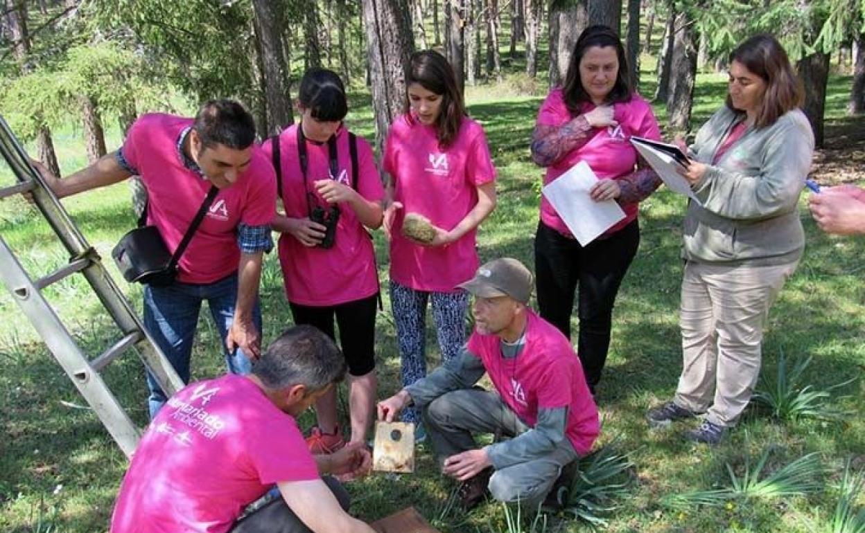 Imagen de archivo de voluntarios ambientales. 