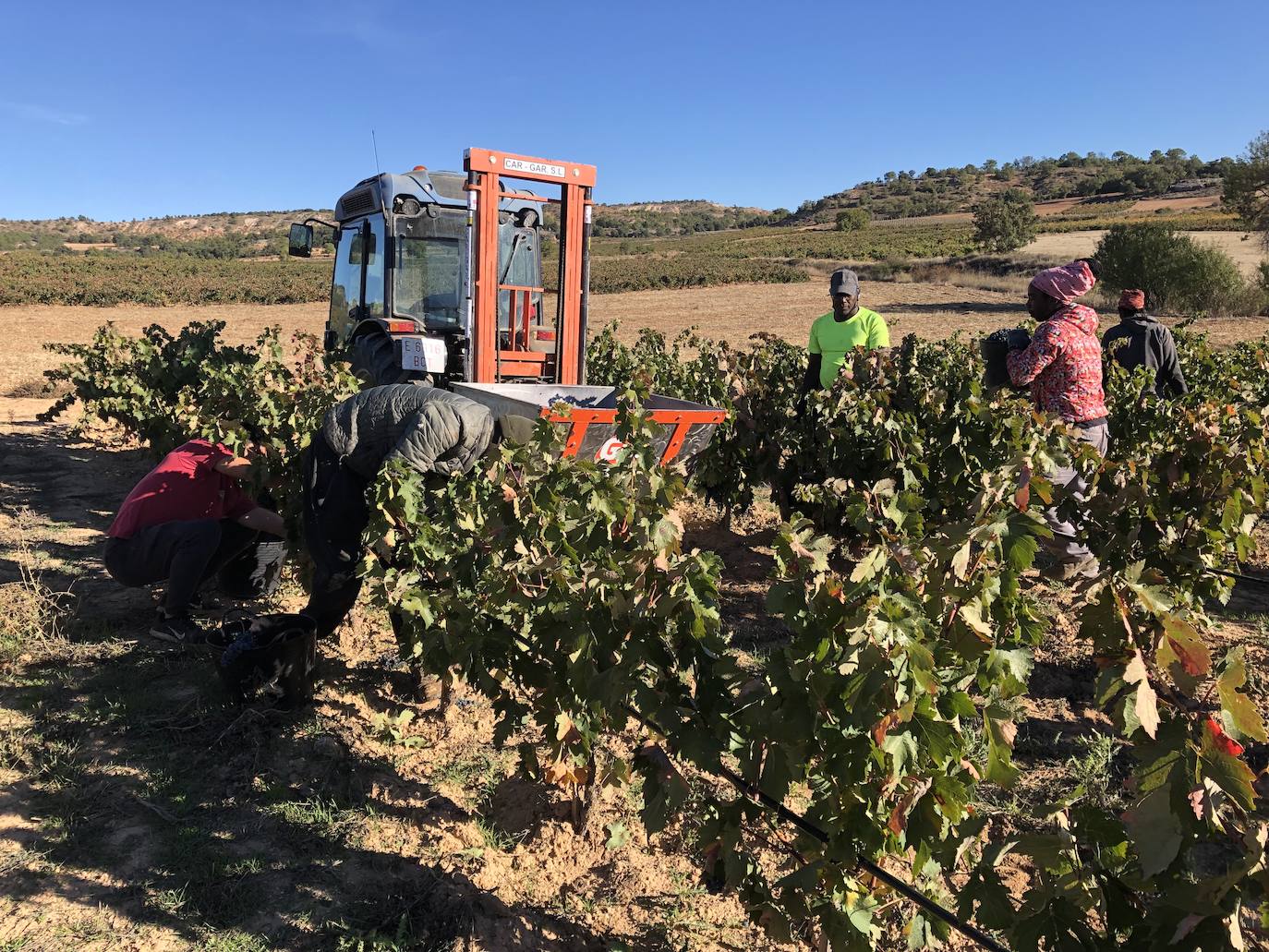 La Ribera del Duero se prepara para la campaña.