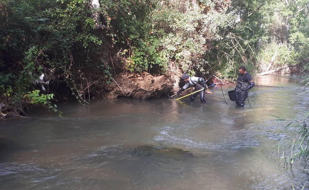 Recogida de muestras en el río.