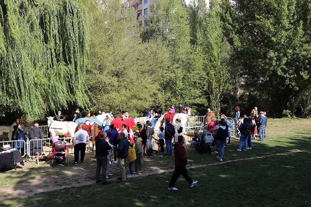 Fotos: Burgos vive un fin de semana cidiano muy literario