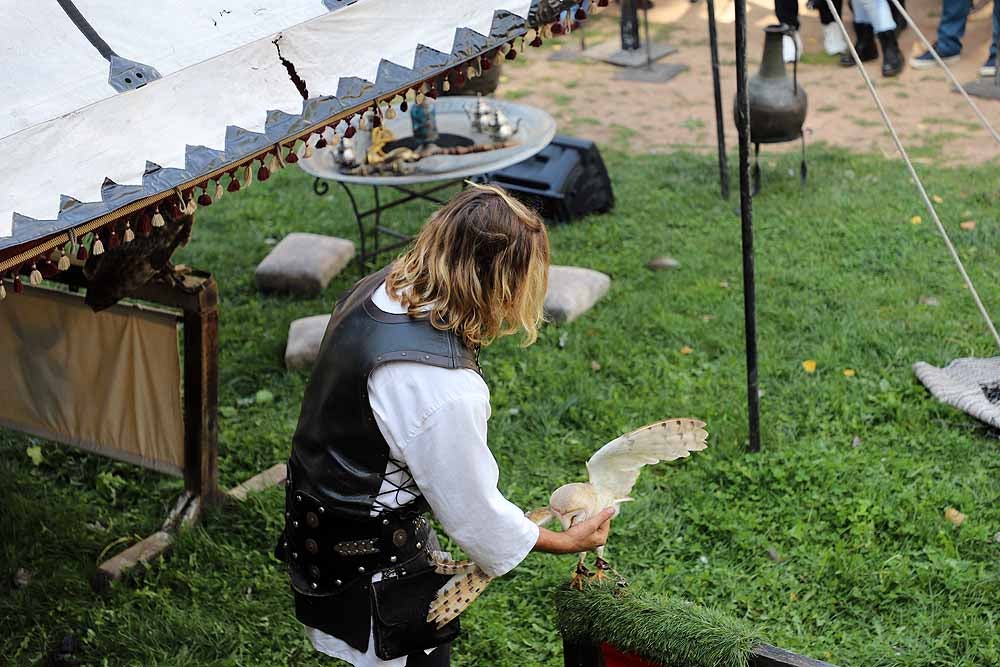 Fotos: Burgos vive un fin de semana cidiano muy literario