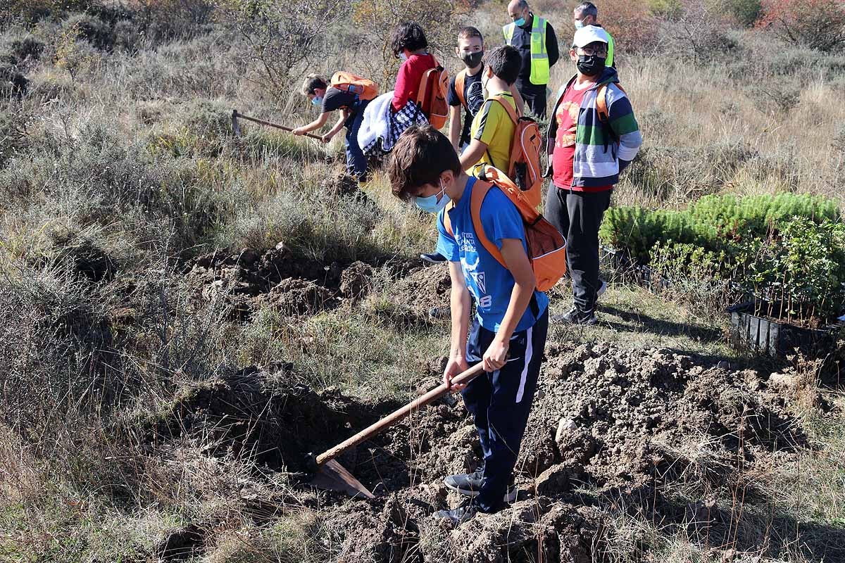 Fotos: Los niños burgaleses aprenden a respetar a unos vecinos fundamentales, los árboles