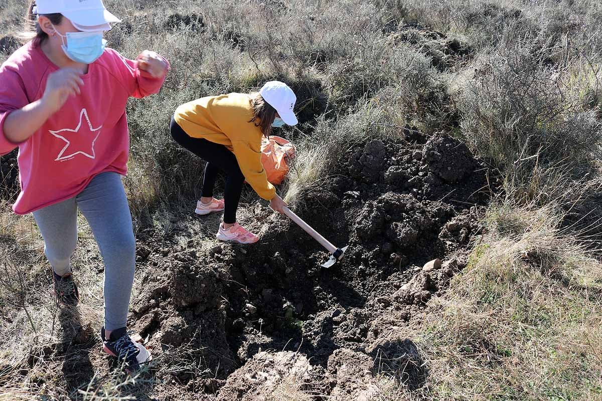 Fotos: Los niños burgaleses aprenden a respetar a unos vecinos fundamentales, los árboles