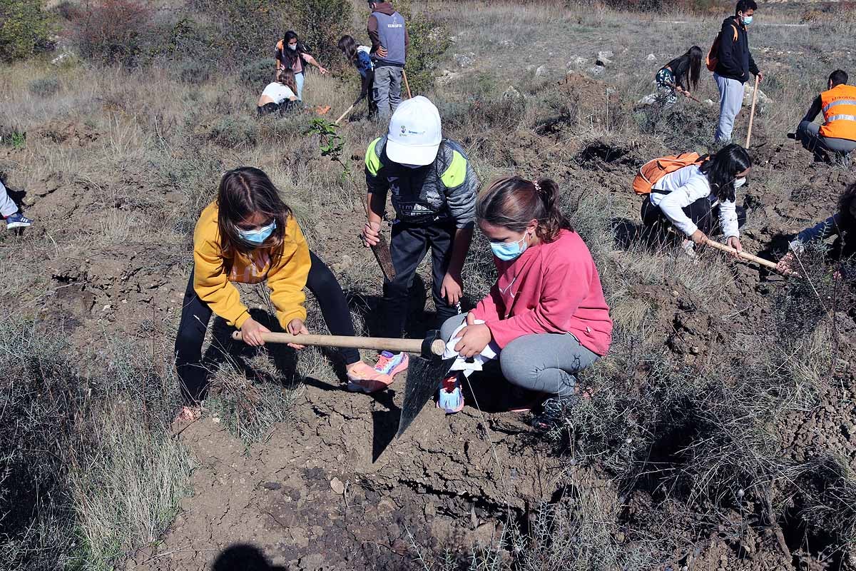 Fotos: Los niños burgaleses aprenden a respetar a unos vecinos fundamentales, los árboles