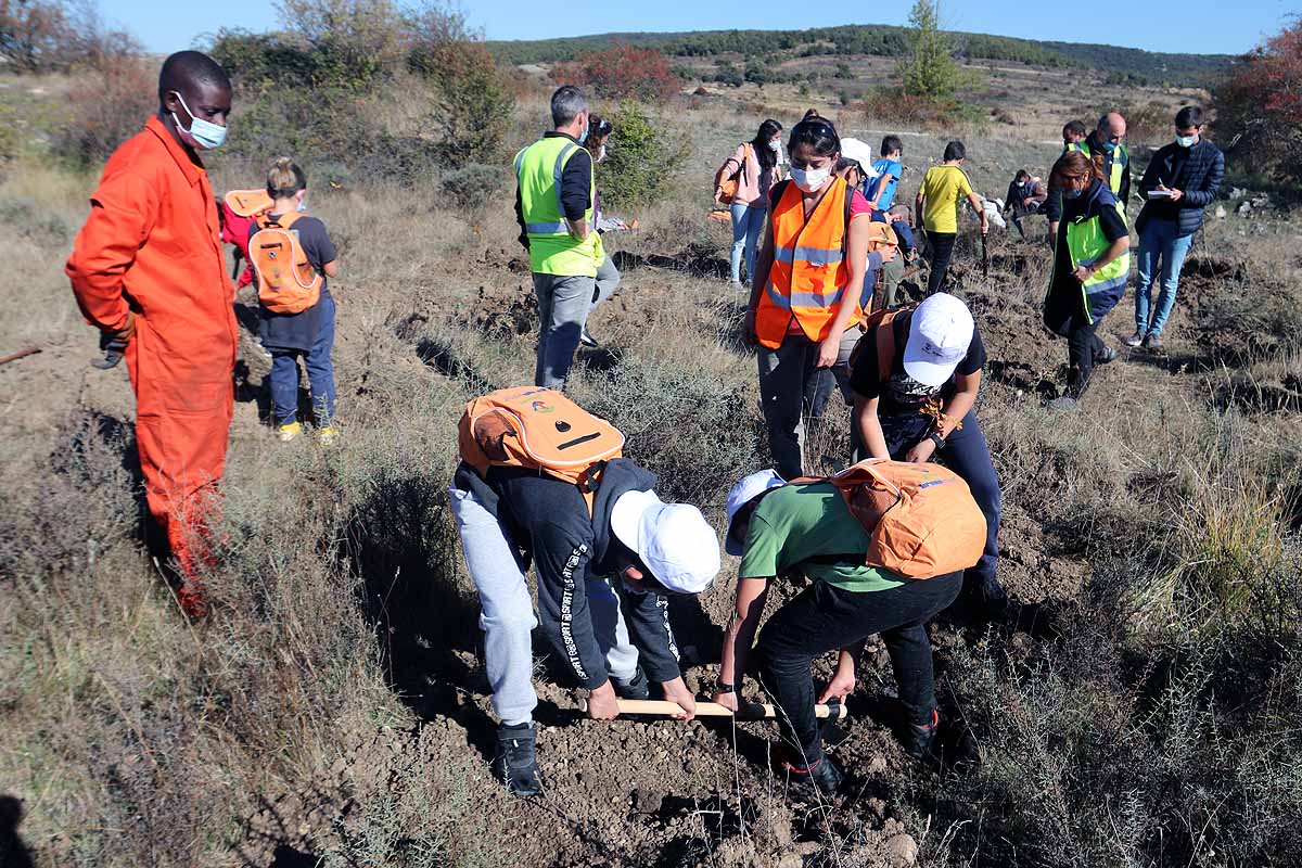 Fotos: Los niños burgaleses aprenden a respetar a unos vecinos fundamentales, los árboles