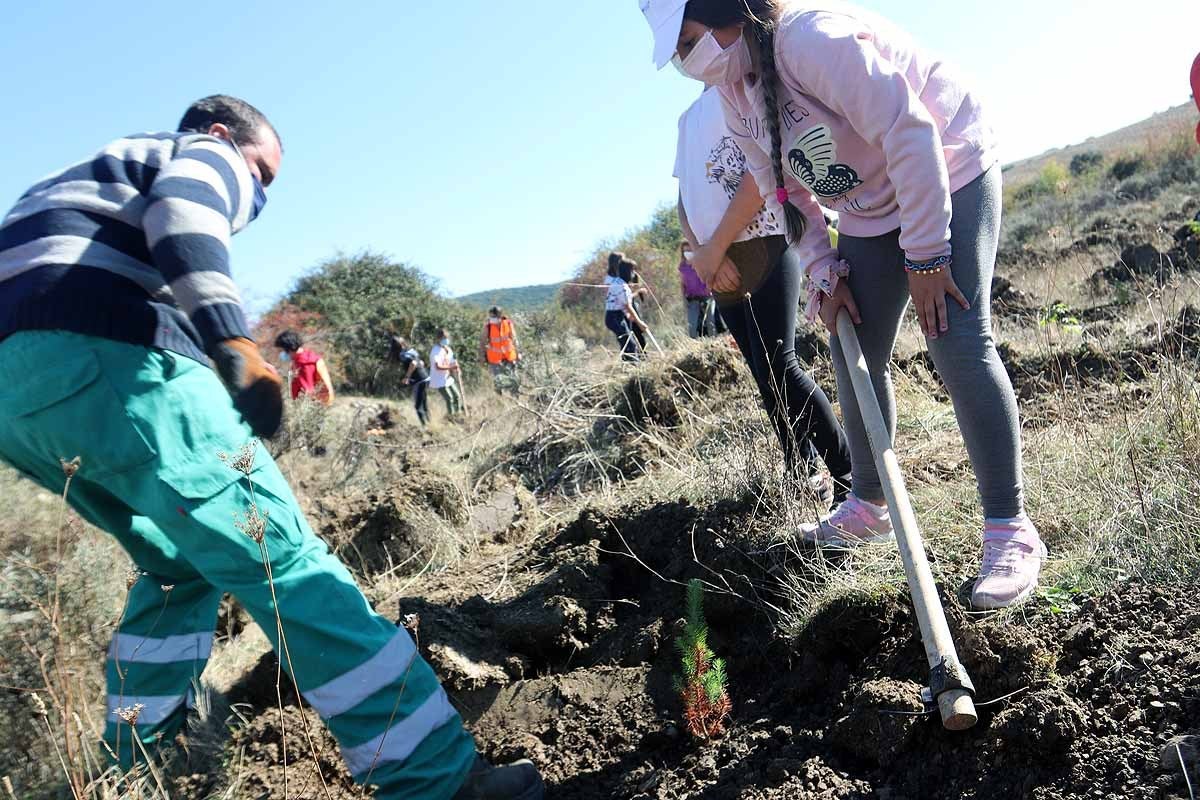 Fotos: Los niños burgaleses aprenden a respetar a unos vecinos fundamentales, los árboles