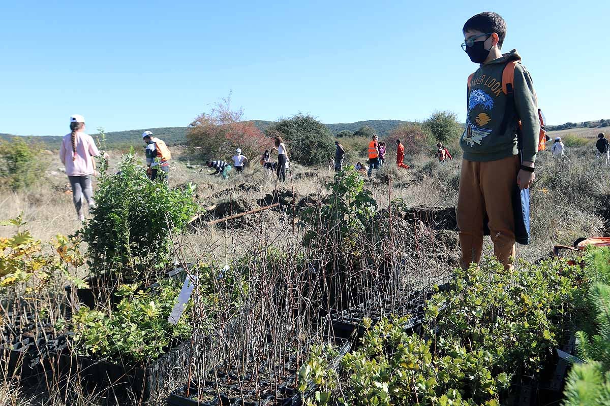 Fotos: Los niños burgaleses aprenden a respetar a unos vecinos fundamentales, los árboles