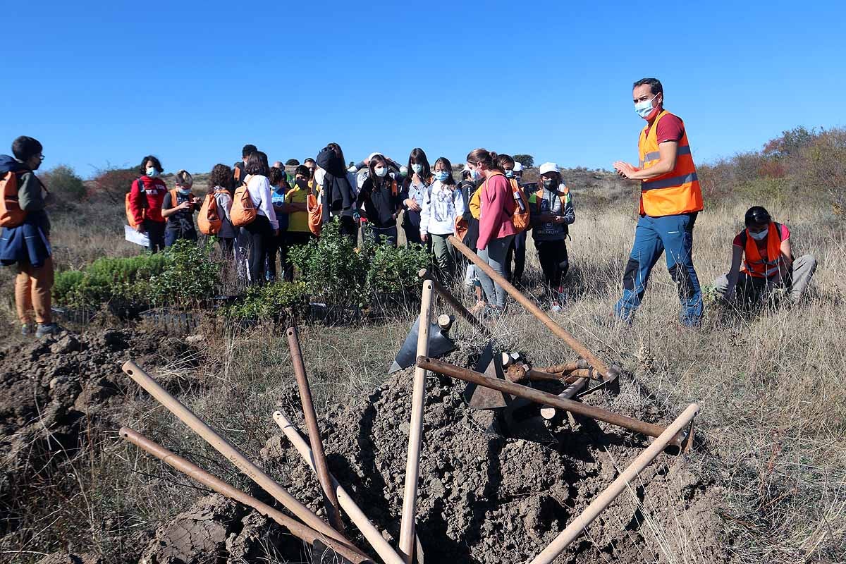 Fotos: Los niños burgaleses aprenden a respetar a unos vecinos fundamentales, los árboles