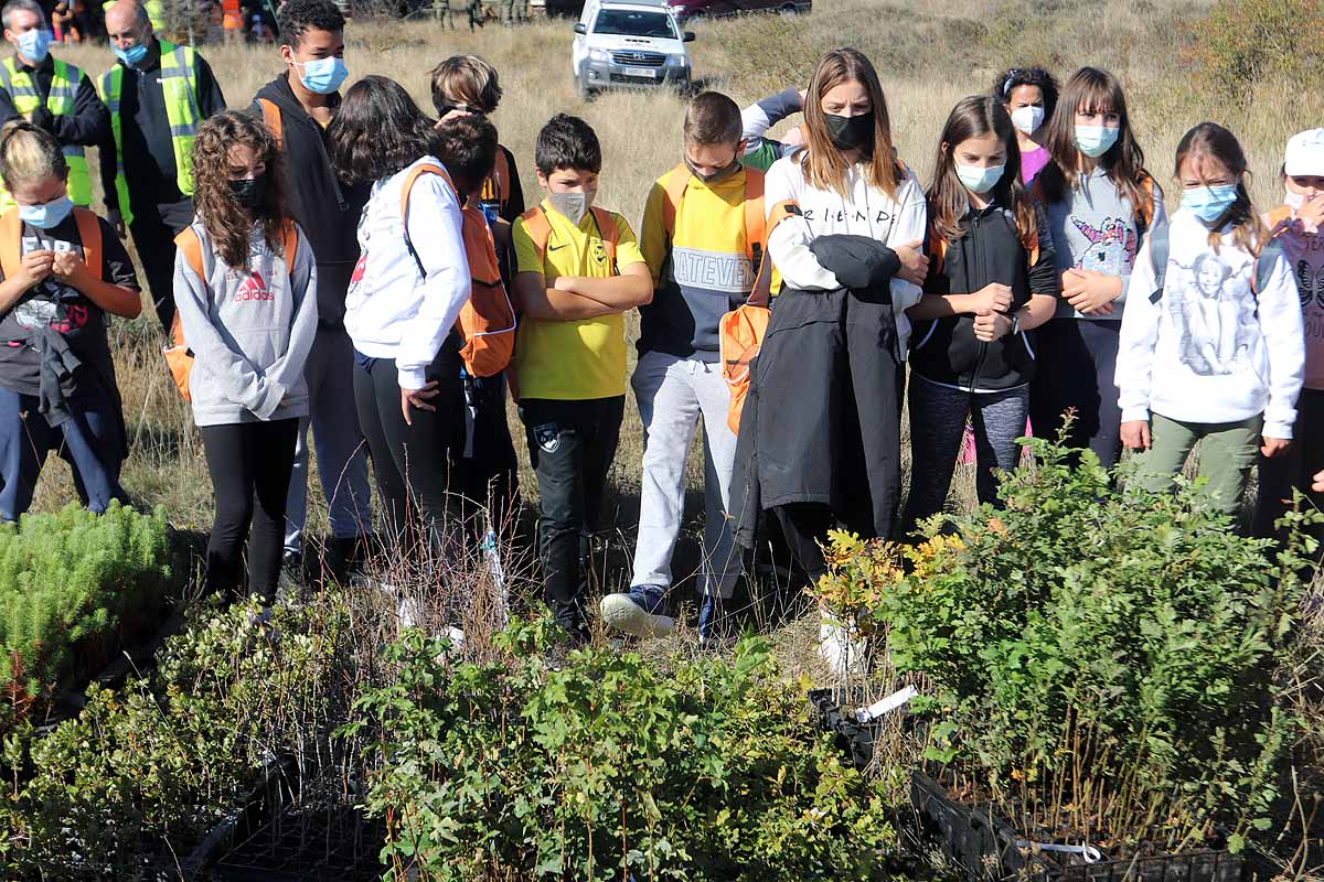 Fotos: Los niños burgaleses aprenden a respetar a unos vecinos fundamentales, los árboles