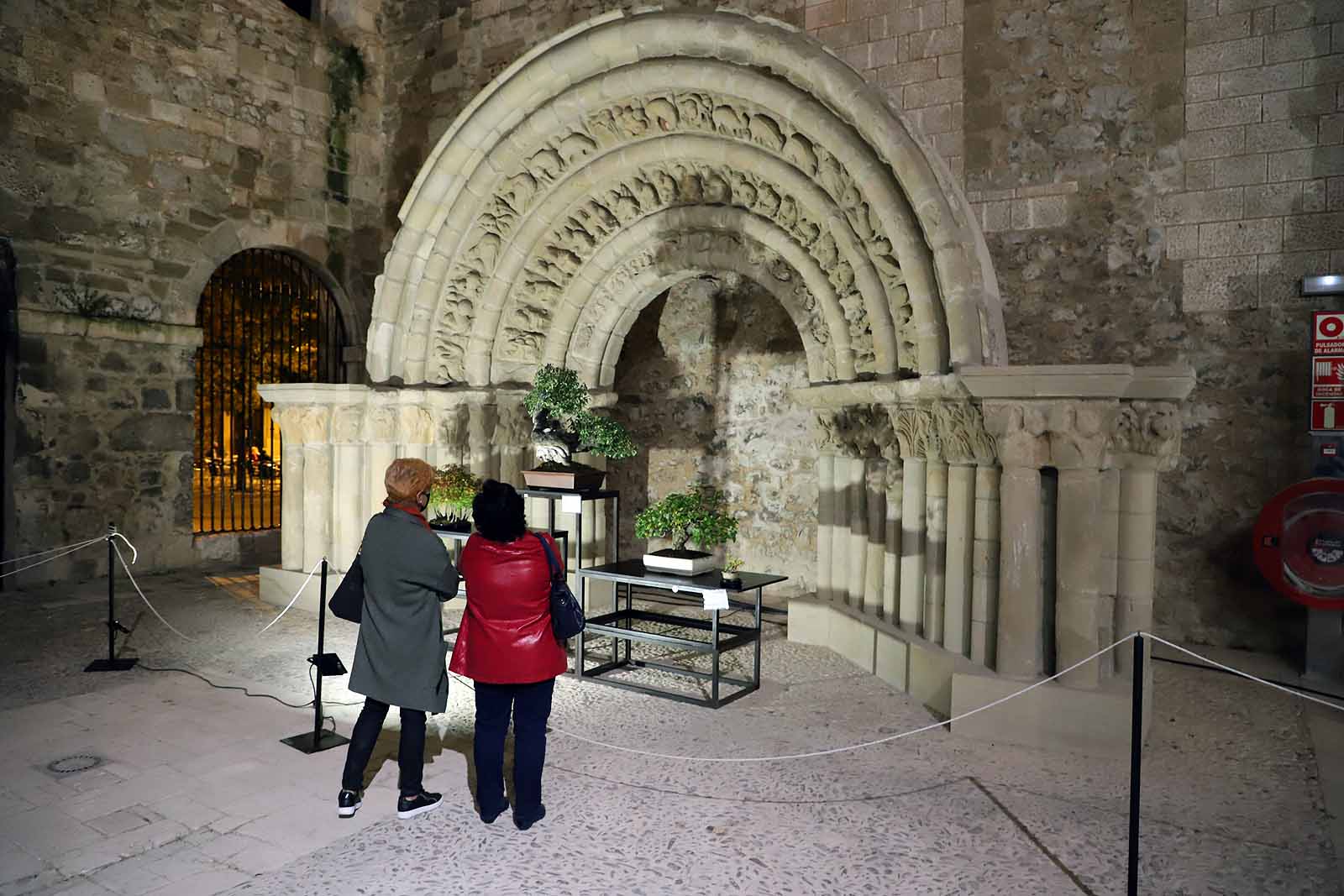 La Asociación Cultural Bonsái Burgos expone cerca de 60 árboles en el Monasterio de San Juan.